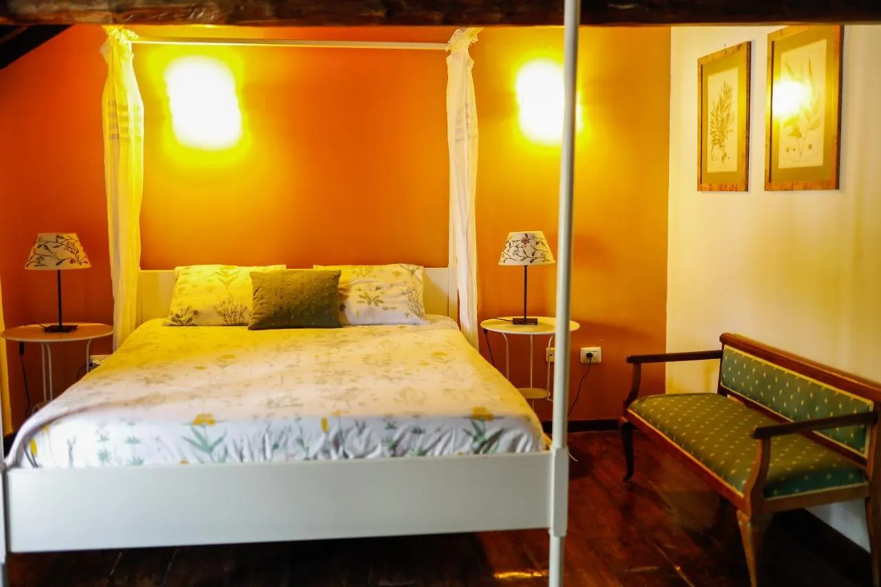 Hostal Casa Begonia Tacoronte España