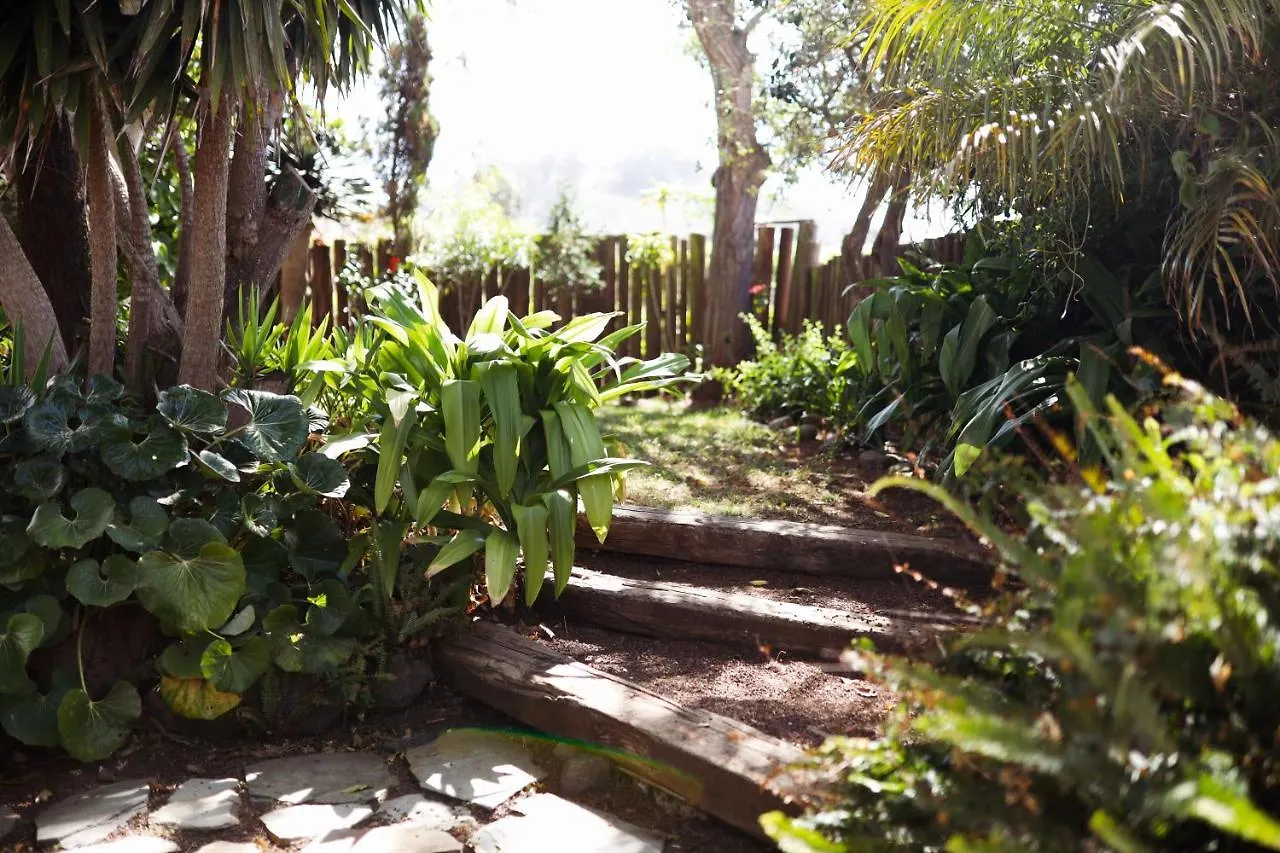 Masoala Guest House Tacoronte